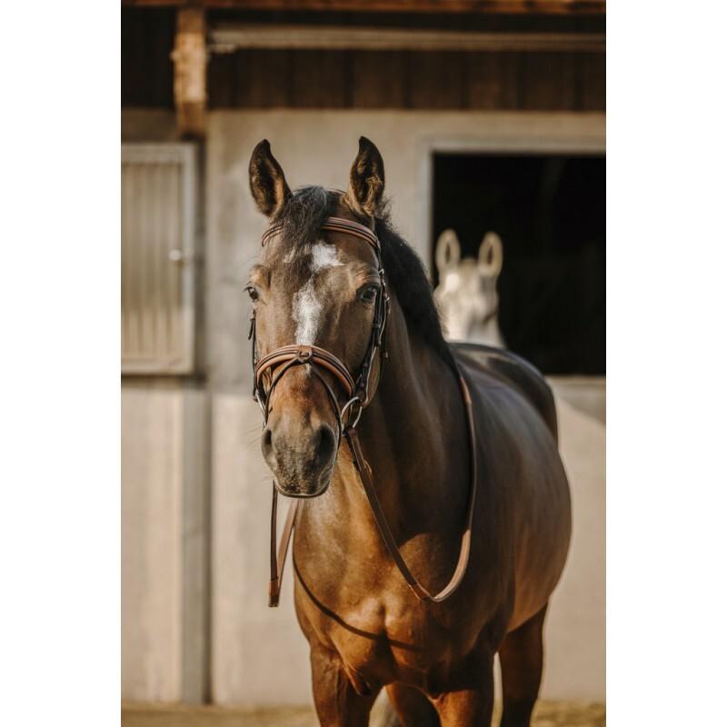 Bridon équitation anatomique Work
