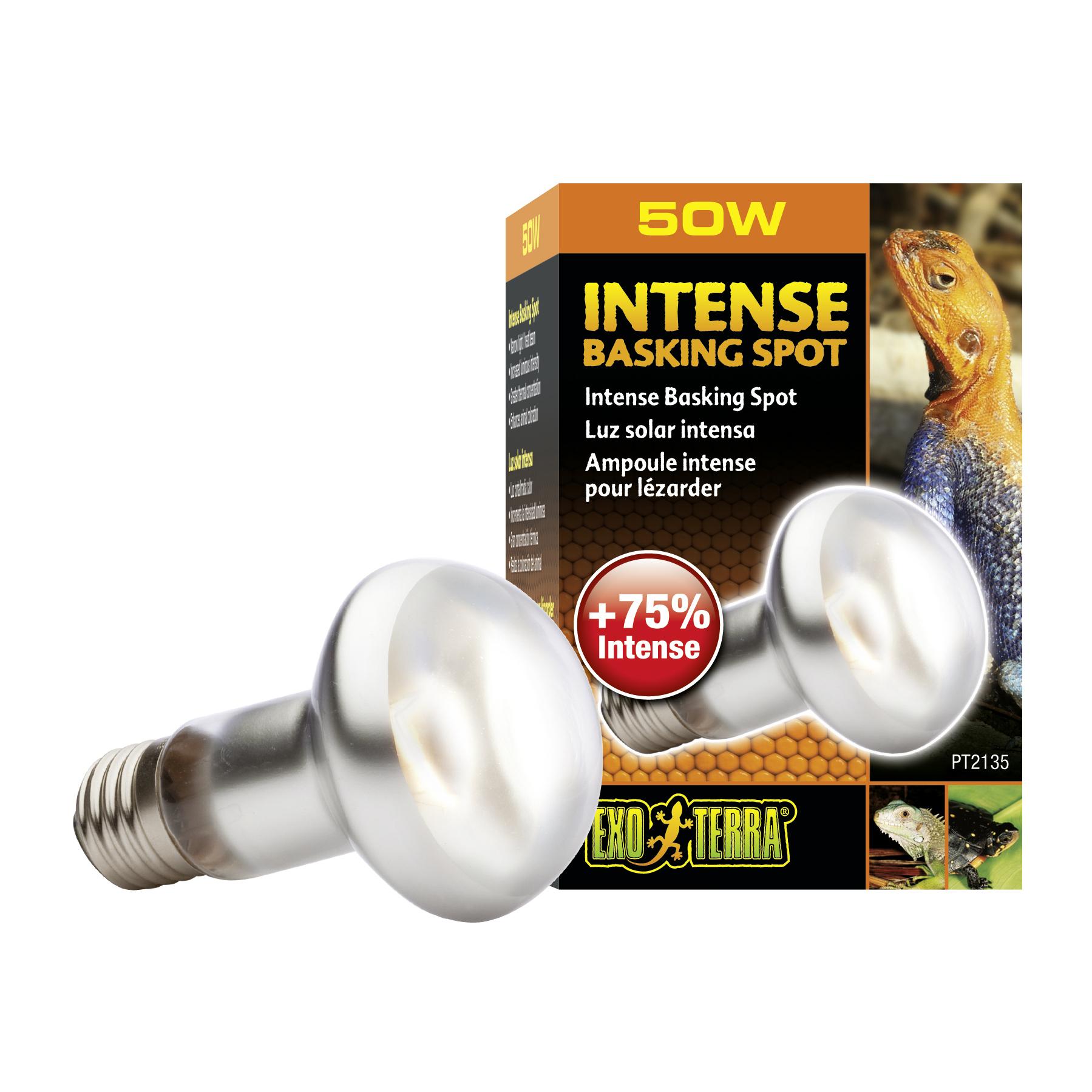 Lampe pour terrarium Intense Basking Spot 50W