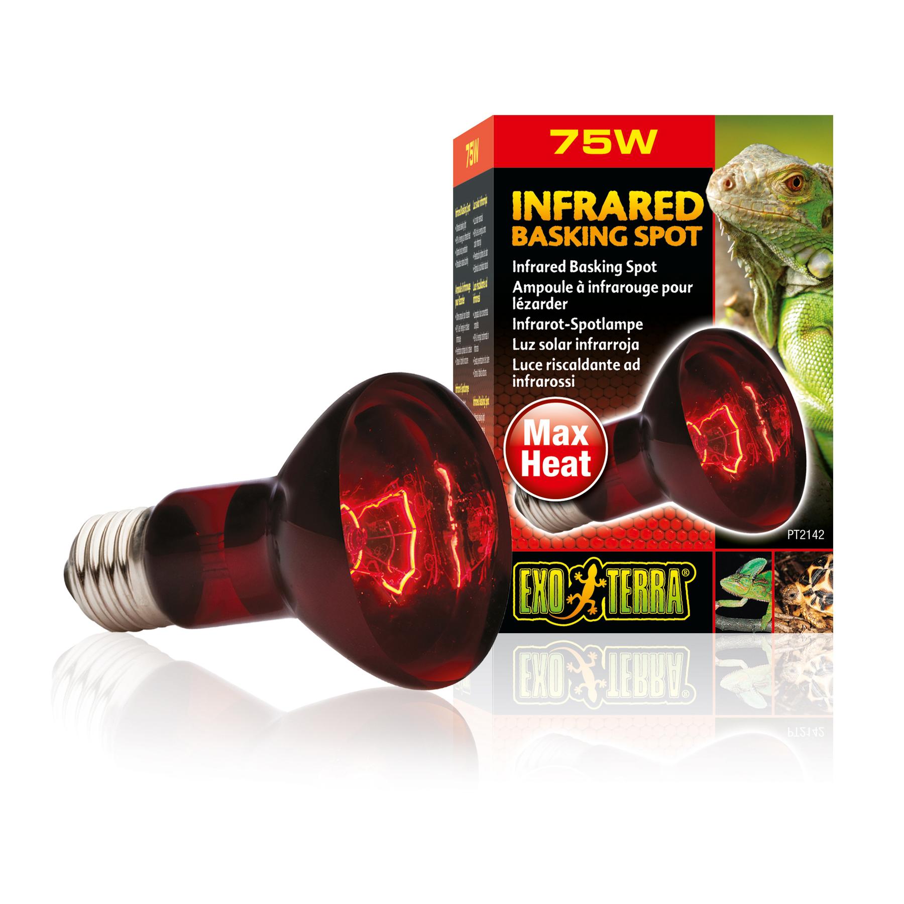 Lampe pour terrarium Infrared Basking Spot 75W