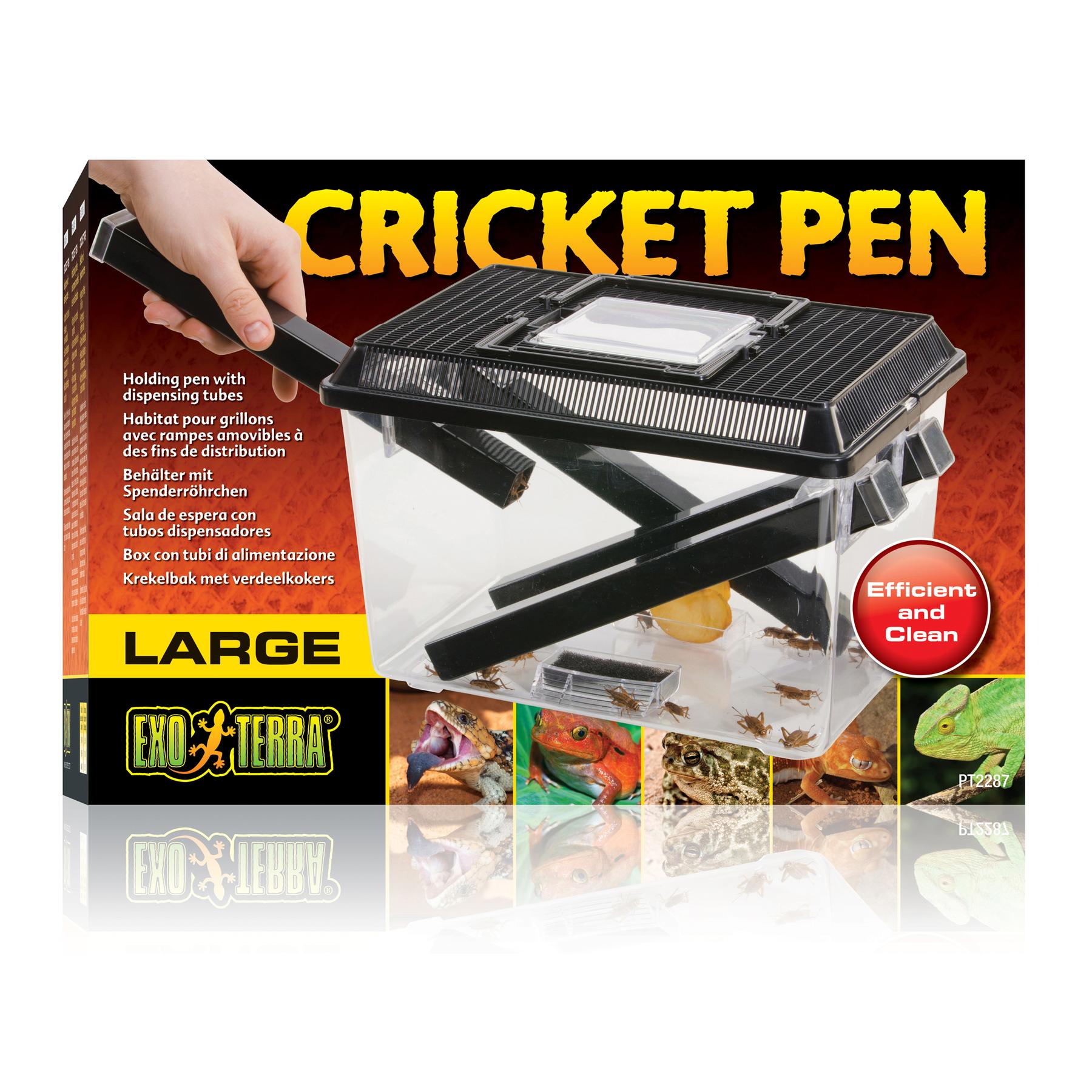 Boîte à criquets avec 3 tubes + 2 mousse