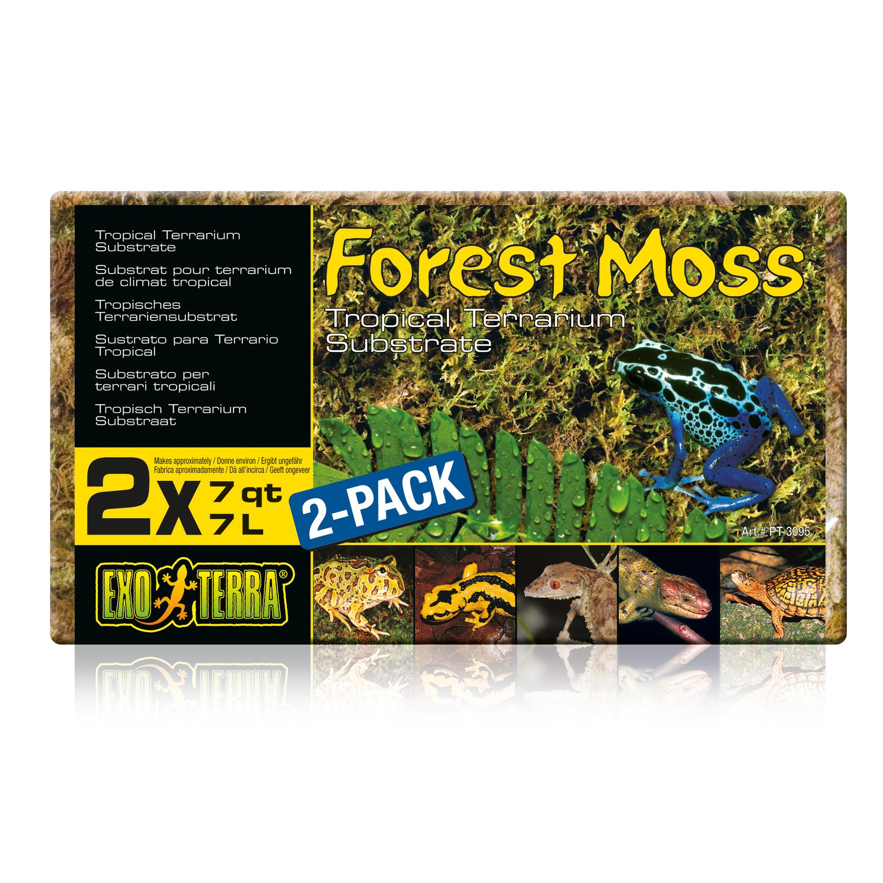 Kit de décoration liane de mousse flexible