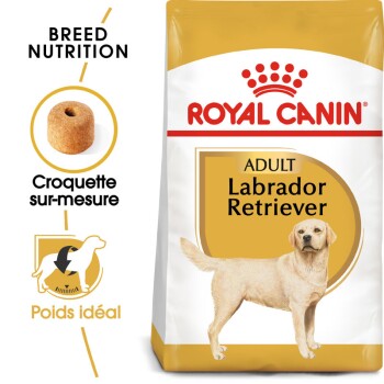 ROYAL CANIN Labrador Retriever Adulte 12 kg