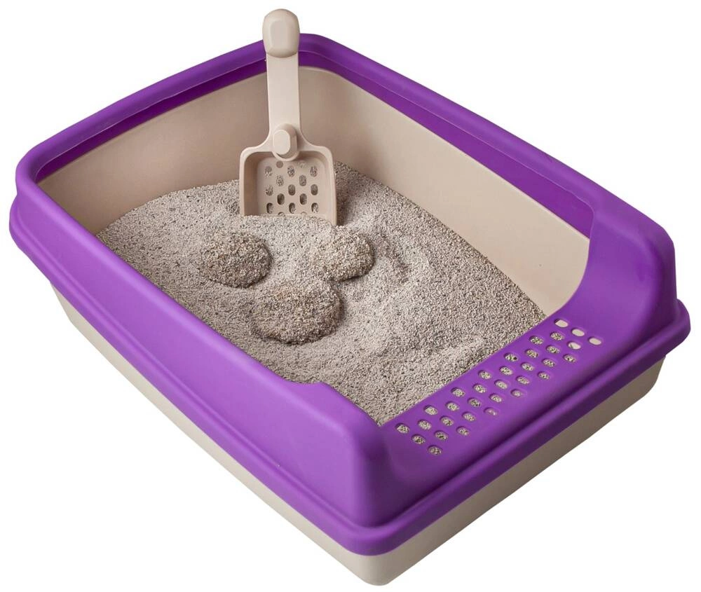 Bac à litière violet avec spatule 20cm x 35xm x 50cm