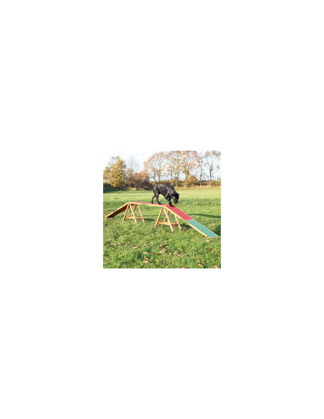 Grande rampe agilité pour chien 456 cm parcours chien agility chien