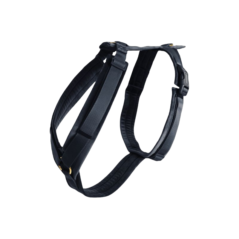 Kentucky Dogwear - Harnais pour chien actif velvet noir