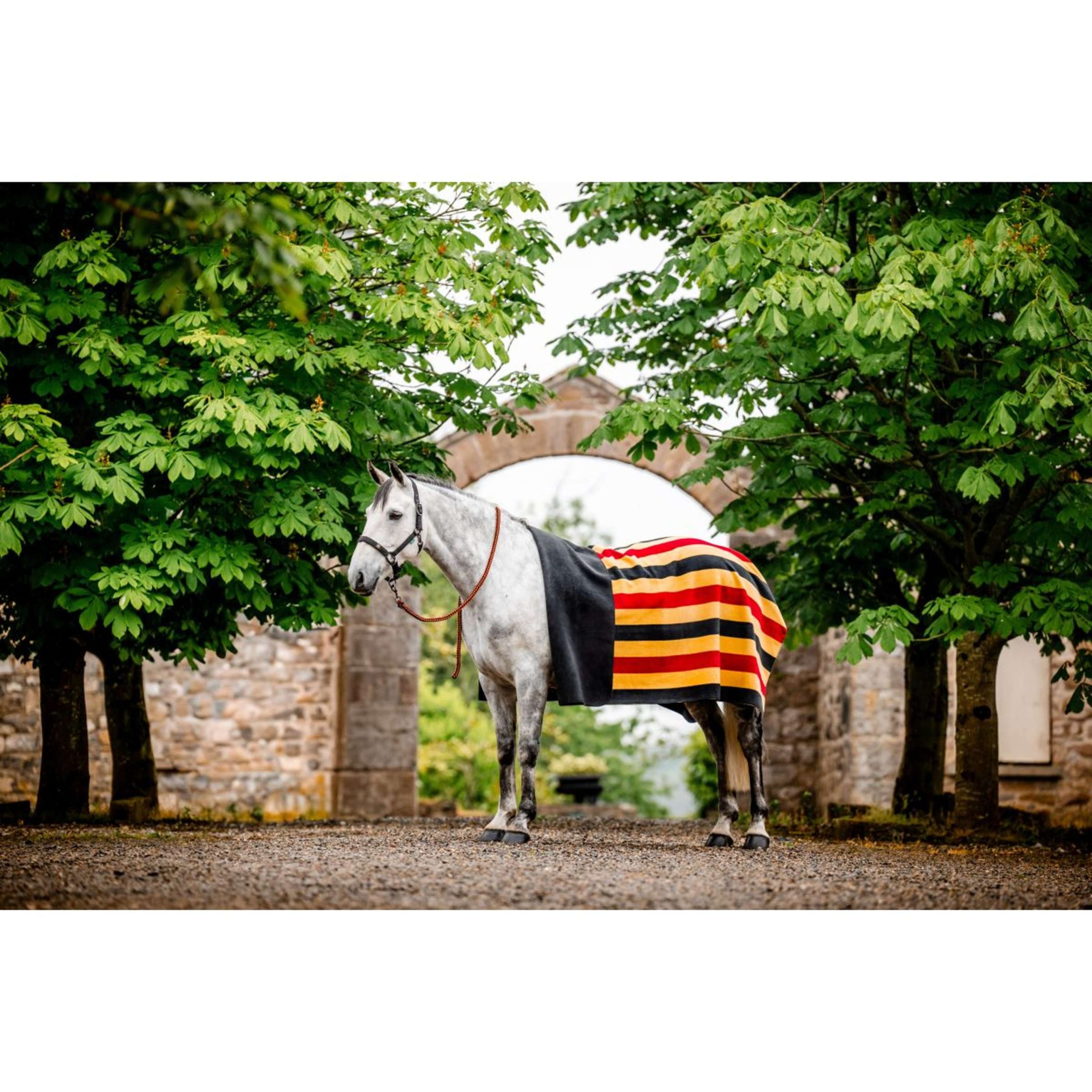 Horseware Couverture Polaire Newmarket Witney Gold