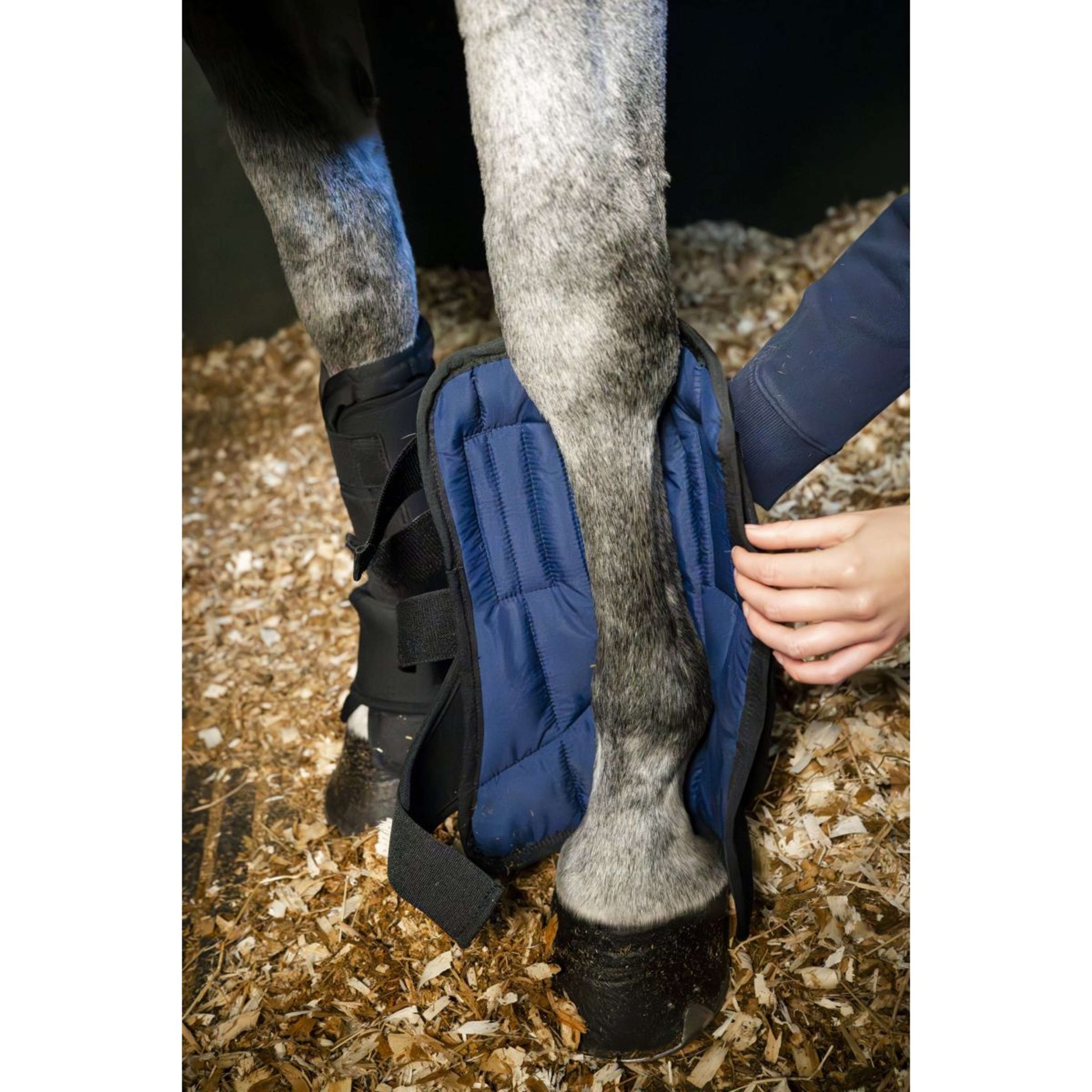 Horseware Liner Stable Boot Ionic Noir