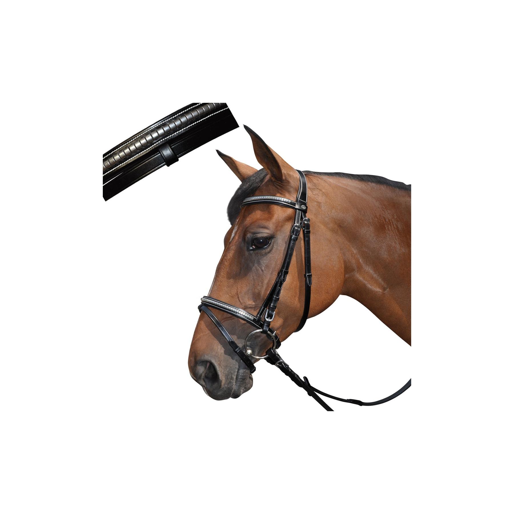 Bridons équitation tucson combiné