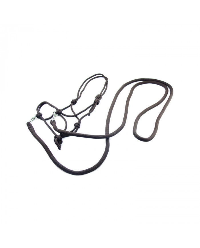 licol C rênes Et Mousquetons