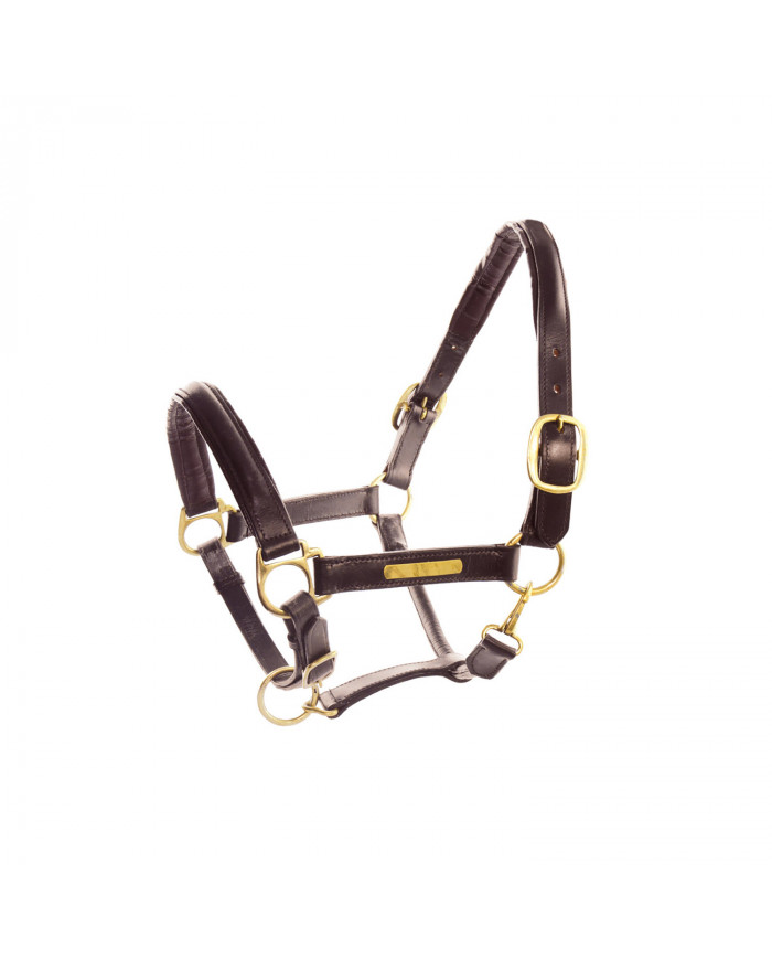 Licol Cuir Doublé Boucles licol