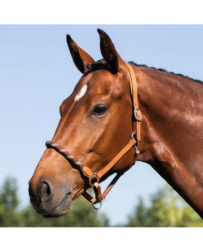 Licol cuir W muserolle ergonomique Pollguard Rope
