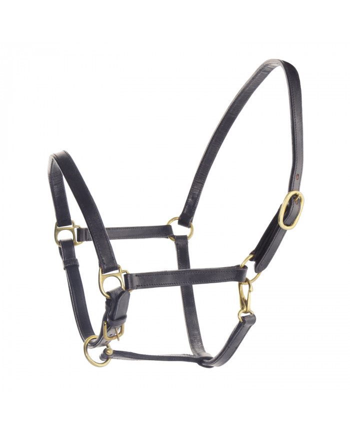 licol en cuir de type suédois