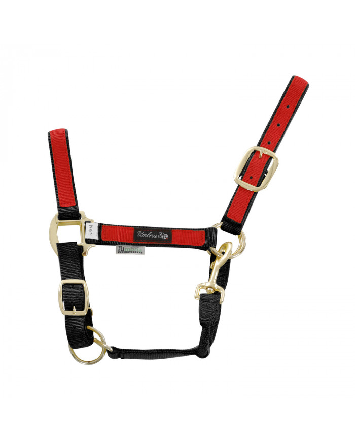 licol en nylon coloré