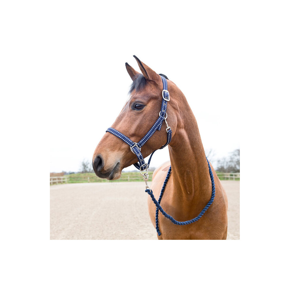 Licol et longe Cooper Horze Supreme
