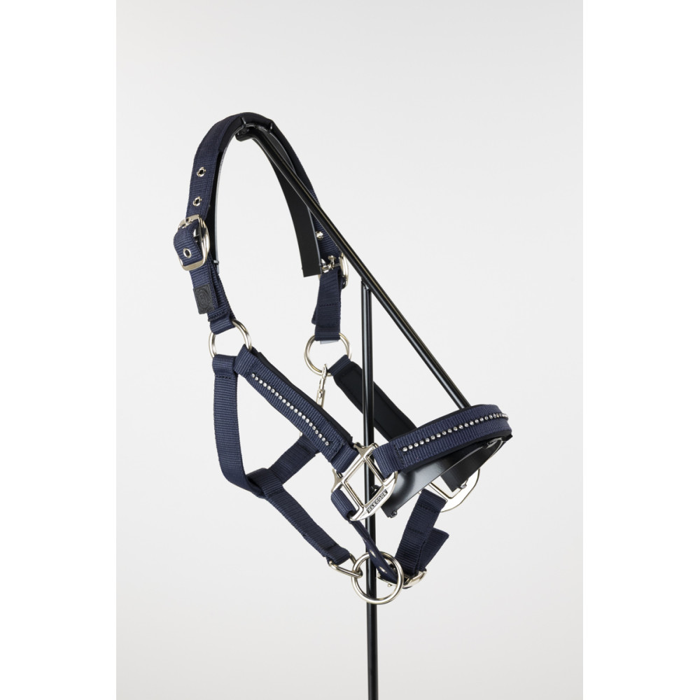 Licol et longe Harcour Amour