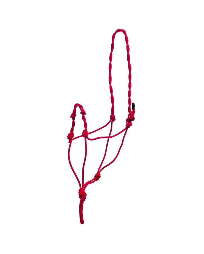 licol Noué Double Corde C Noeuds En Nasaline