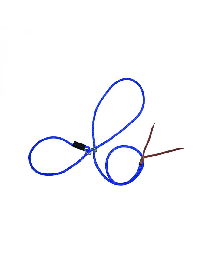 licol Nylon Avec Poche Trekking Laisse