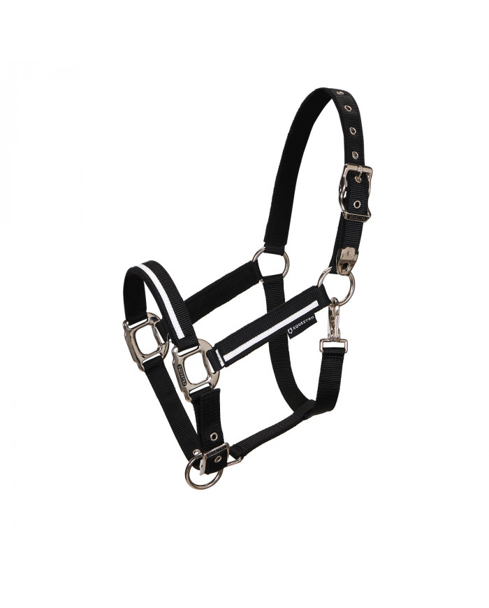 licol Nylon Equestro C laisse Modèle Blanc Garniture