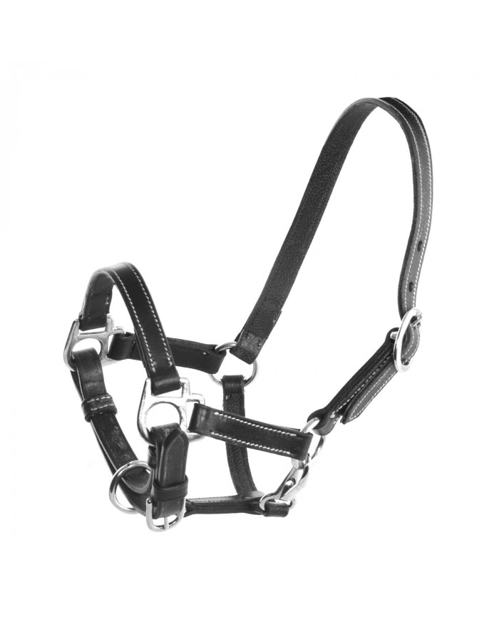 licol poulain en cuir réglable