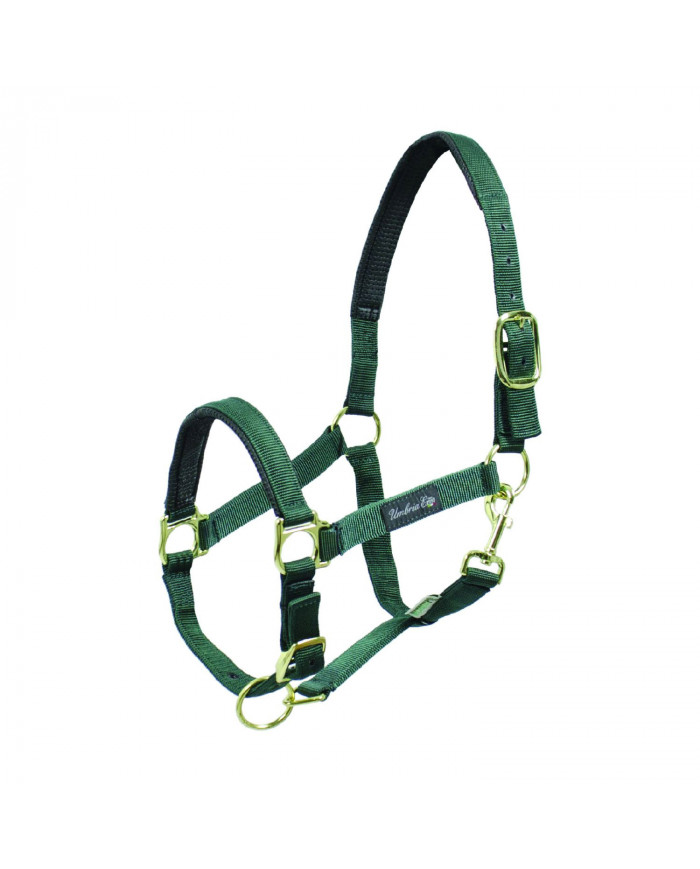 licol Renfort Nylon Neoprene