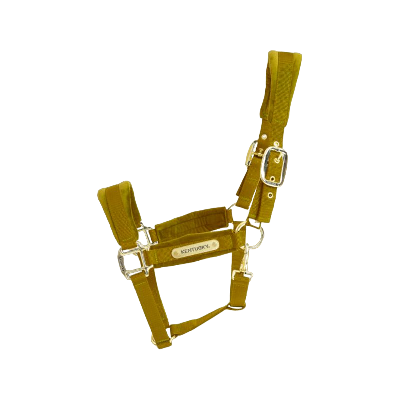 Kentucky Horsewear - Licol Velvet moutarde