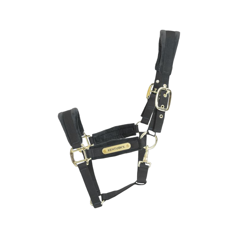 Kentucky Horsewear - Licol Velvet noir