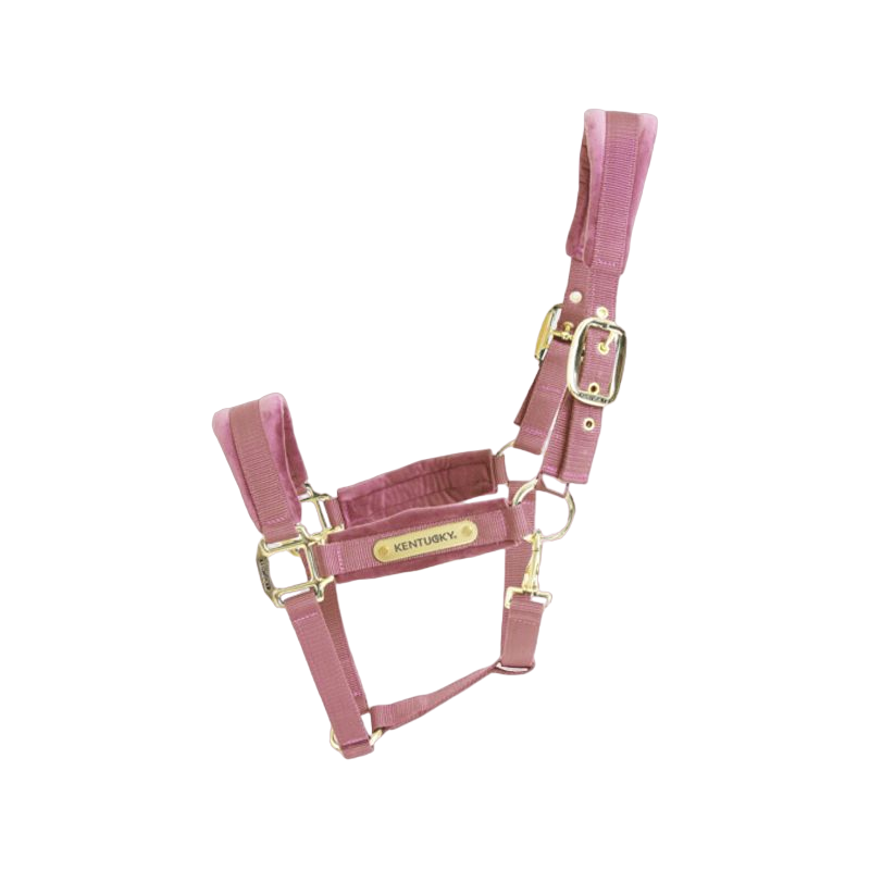 Kentucky Horsewear - Licol Velvet vieux rose