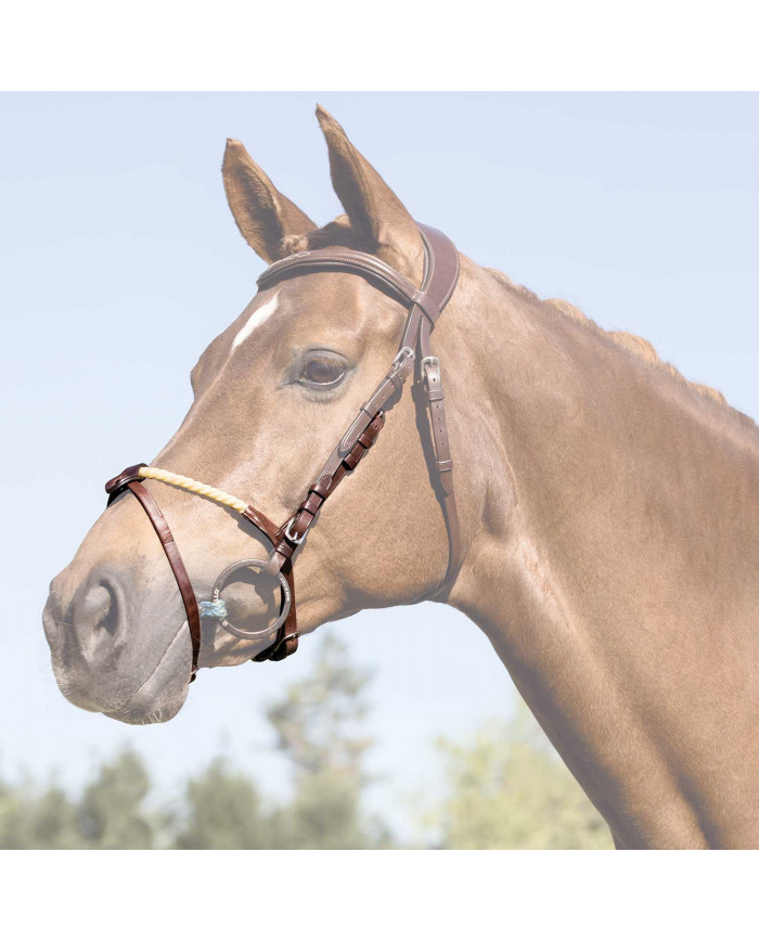 Muserolle combinée en corde