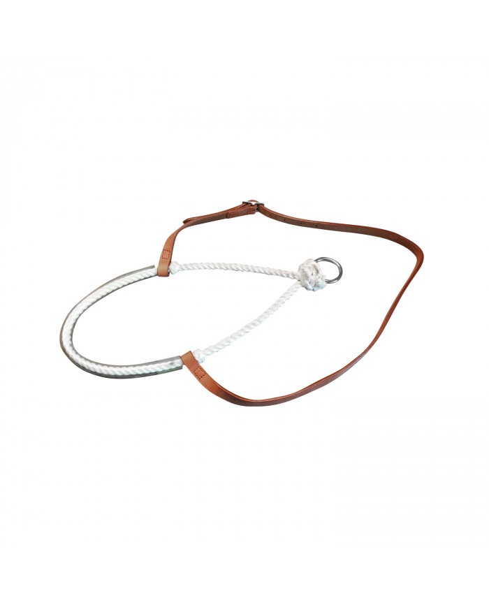 Muserolle Rawhide Pool's avec Anneau