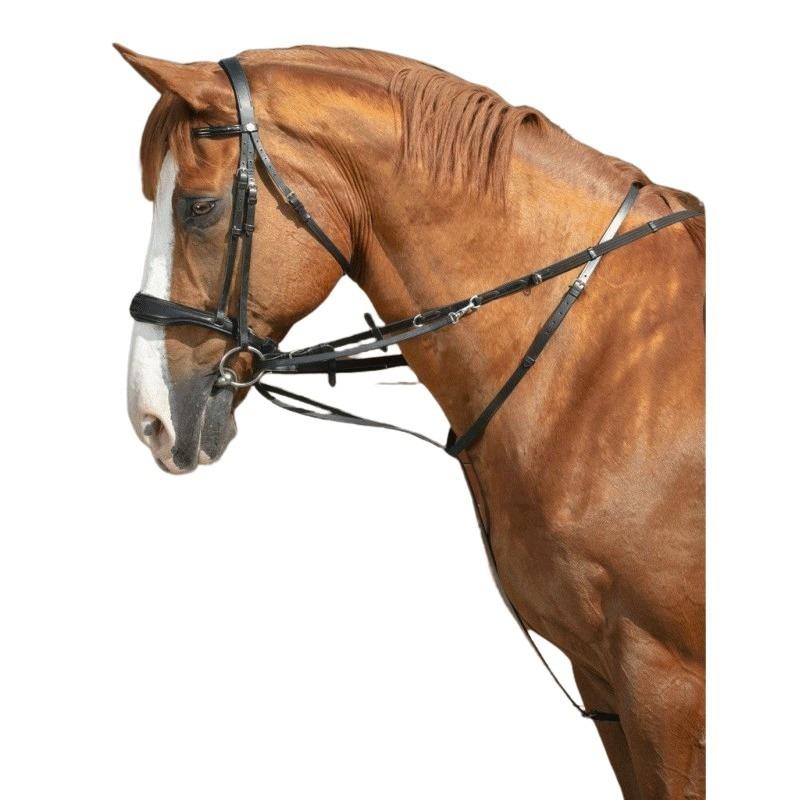 Enrênement pour longe cheval Thiedeman Pro