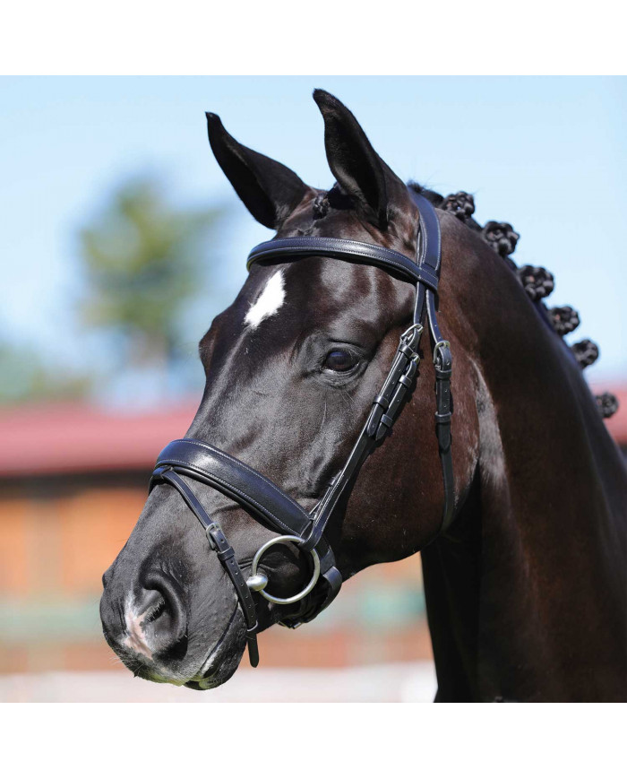 Philosophie de la bride en cuir