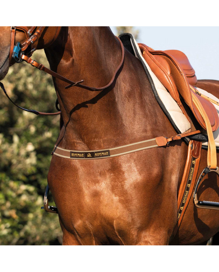 Plastron élastique simple