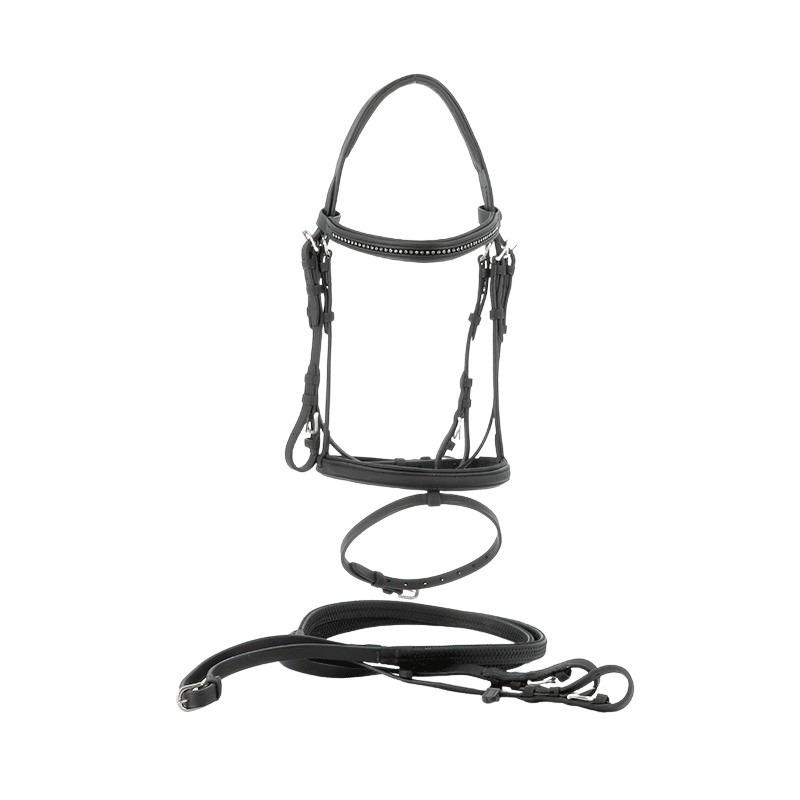 Bridons équitation Biarritz