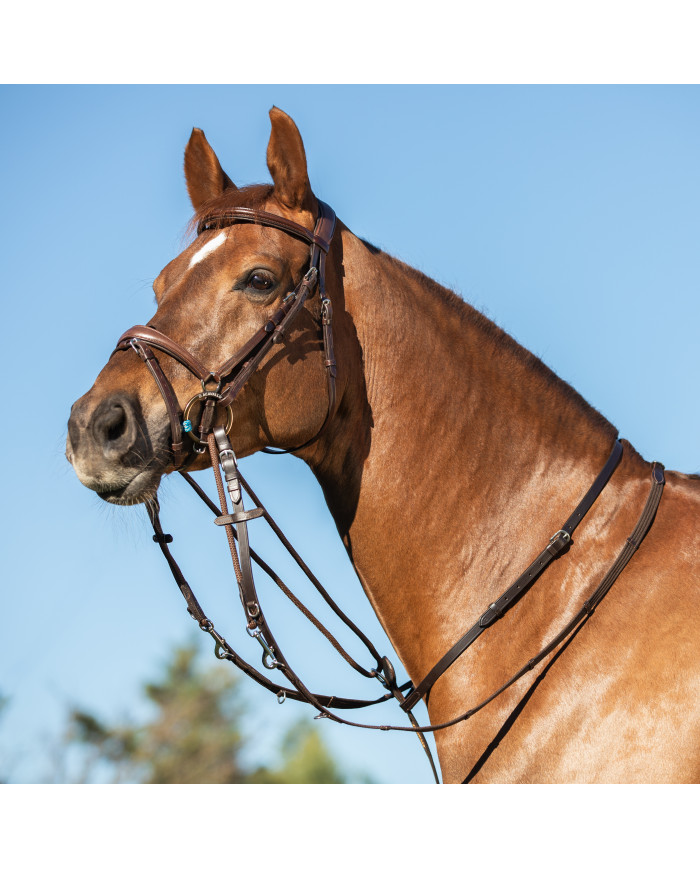 Rênes Thiedemann en cuir italien et rond en nylon