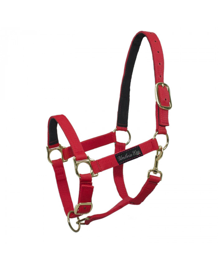 Renforcement en licol en nylon