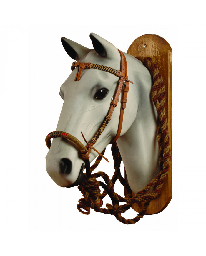 Set Bosal Mecate Tête de Lit bridon Rawhide Pool's
