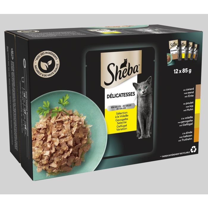 Sheba Délicatesses en Gelée à la Volaille Multipack 12x85g