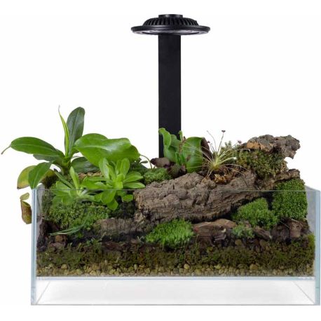 Wabi Kusa Bio Air Tank 30x18x12