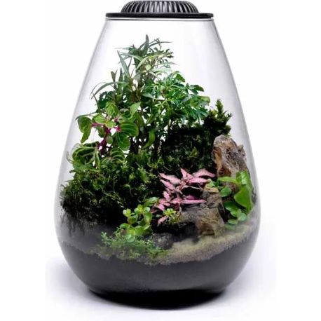 Wabi Kusa Bio bowl 175