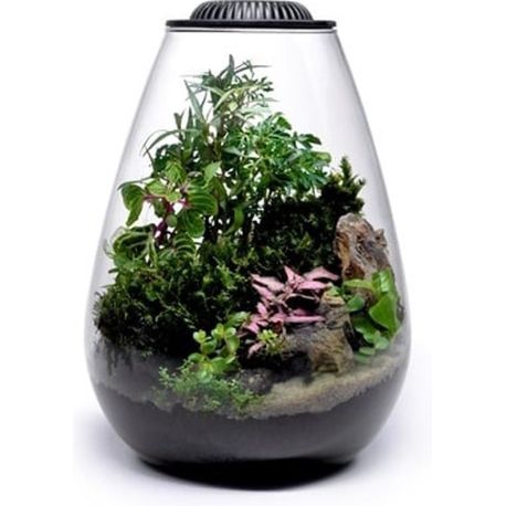 Wabi Kusa Bio bowl 200