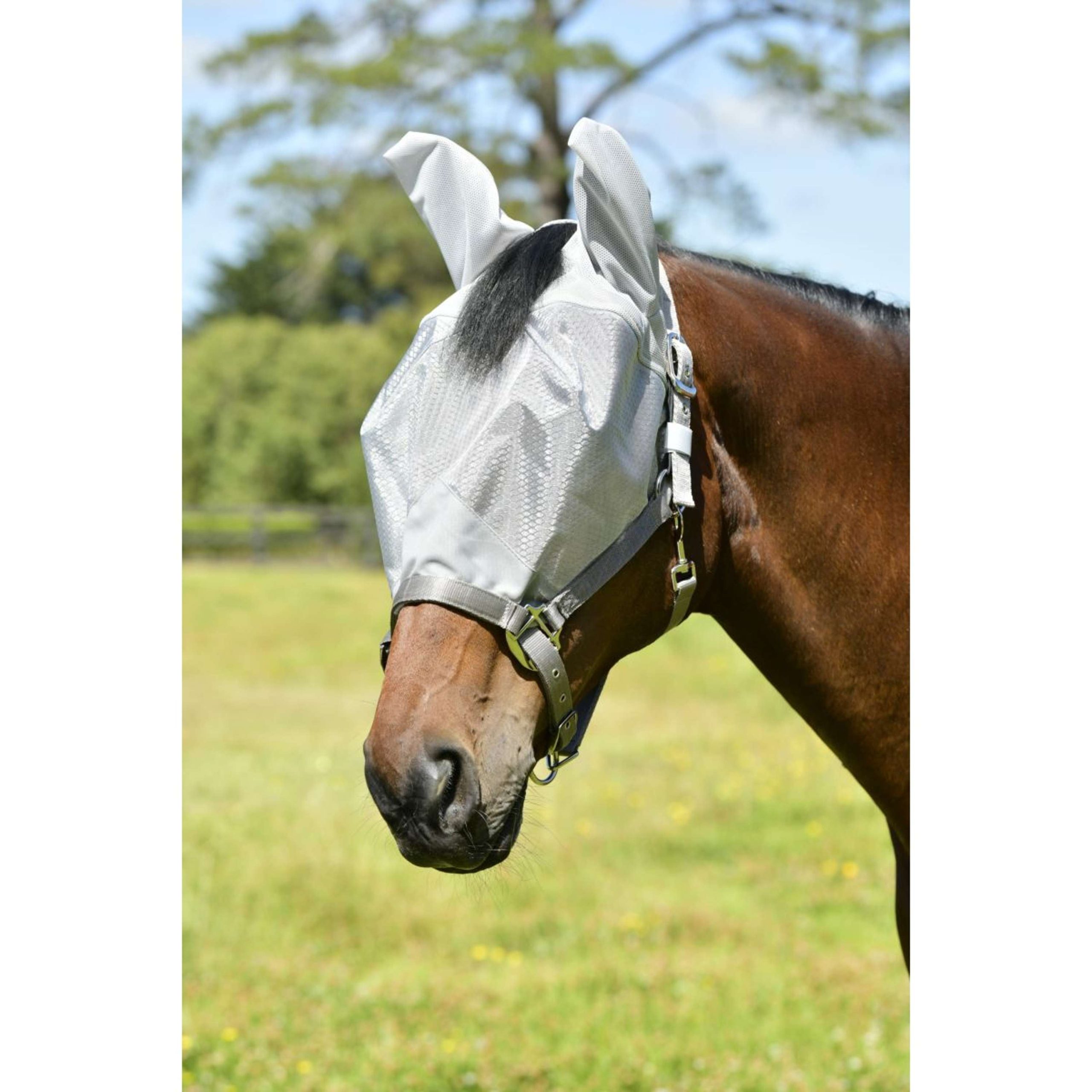 Weatherbeeta Masque Anti-Mouches Comfitec Hexi Dual Argent